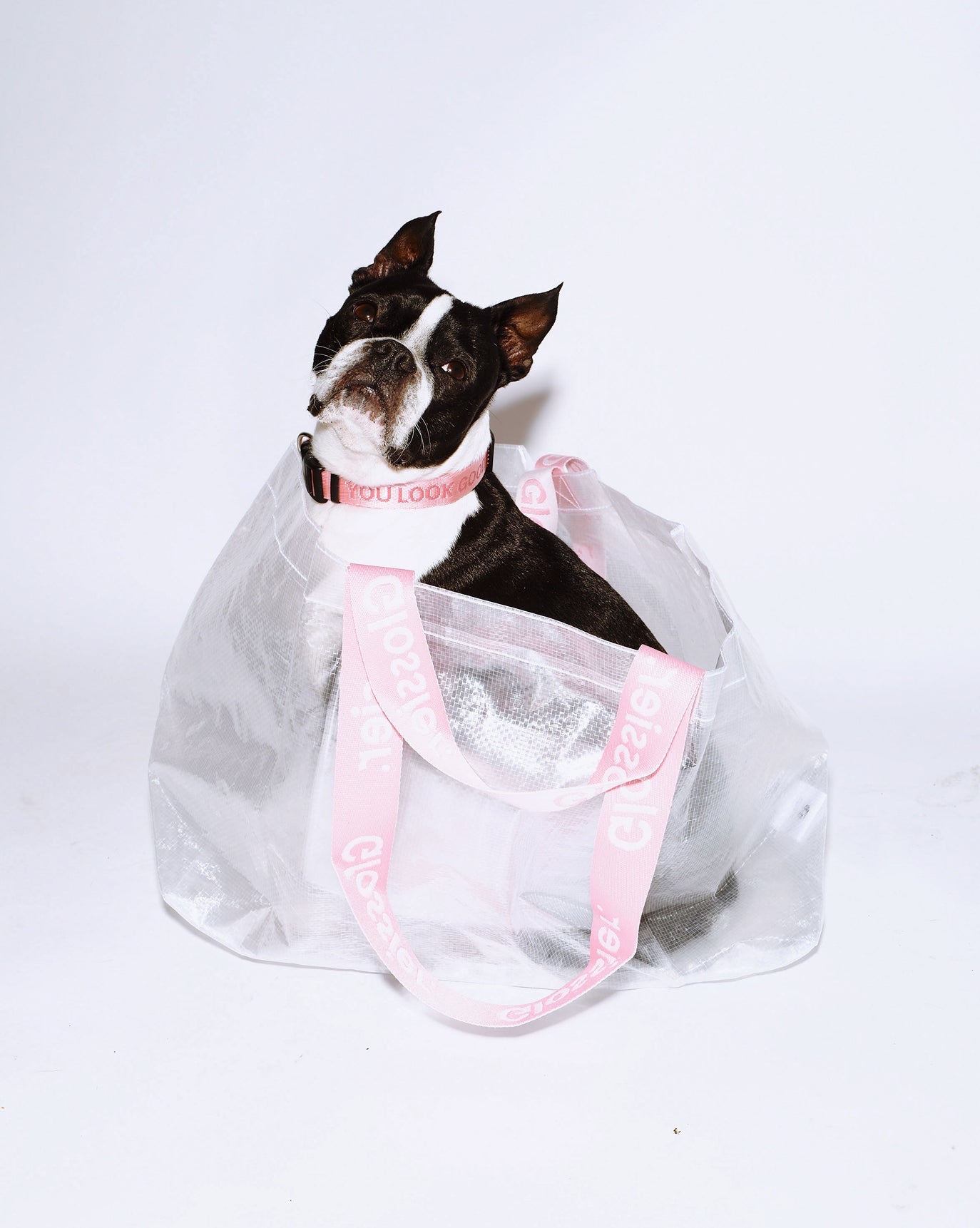SRC_63DC9CBE40DB81AB Errand Bag