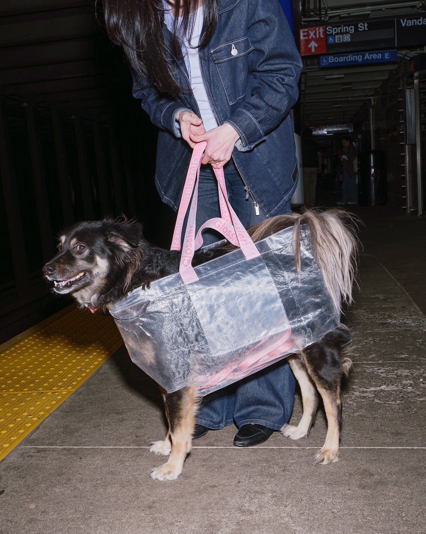SRC_39A21C4B78EA7538 Errand Bag