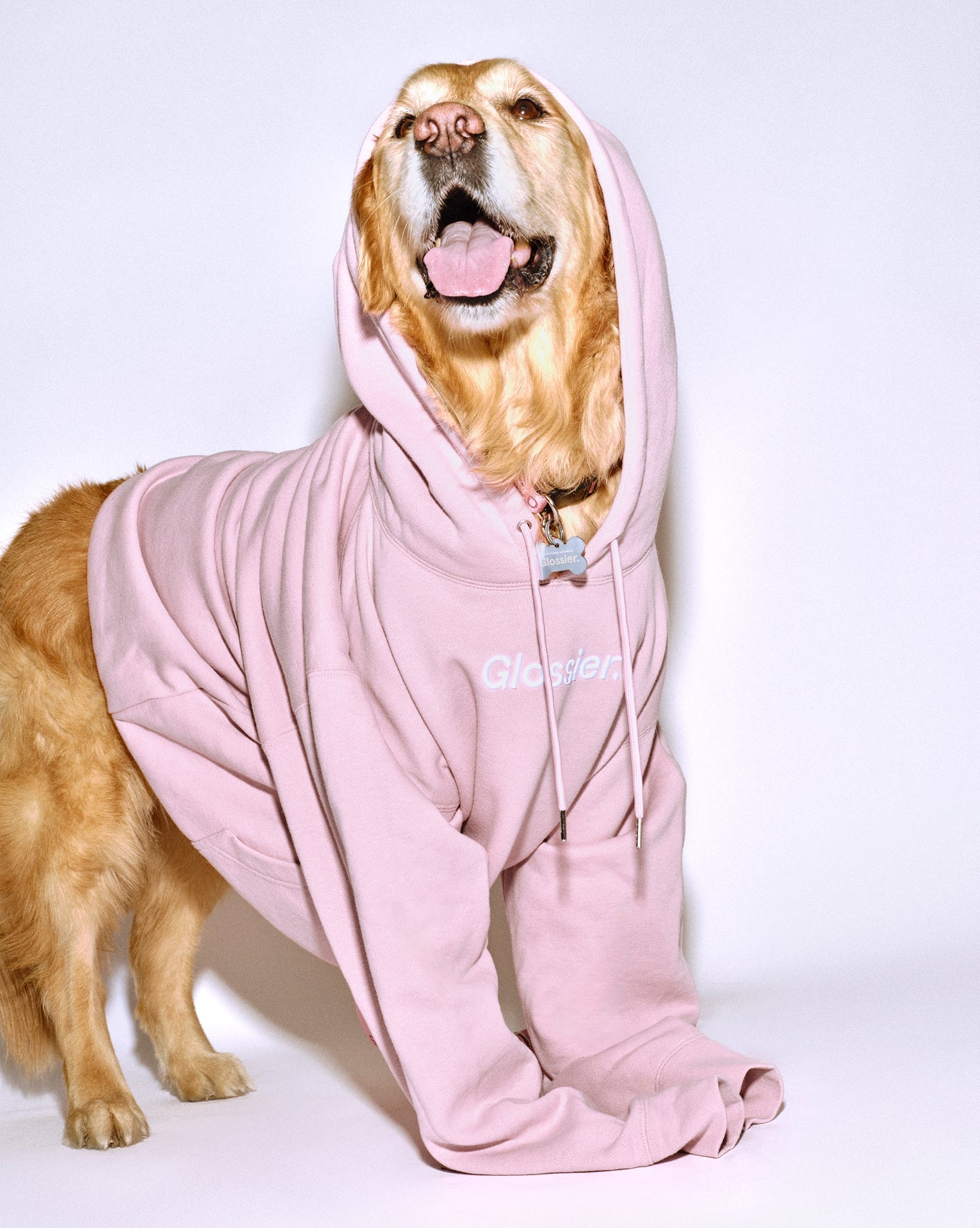 SRC_FB3730F97CFA5260 Embroidered Pink Hoodie