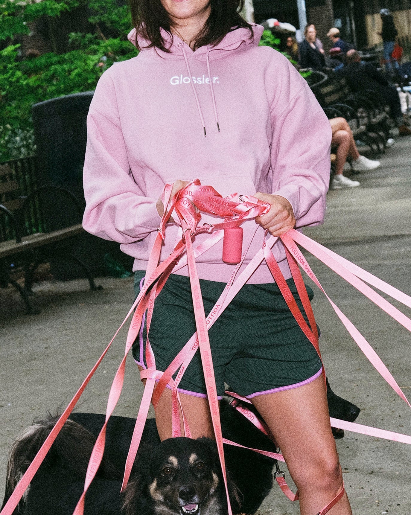 SRC_5A4951AB739BAB9B Embroidered Pink Hoodie