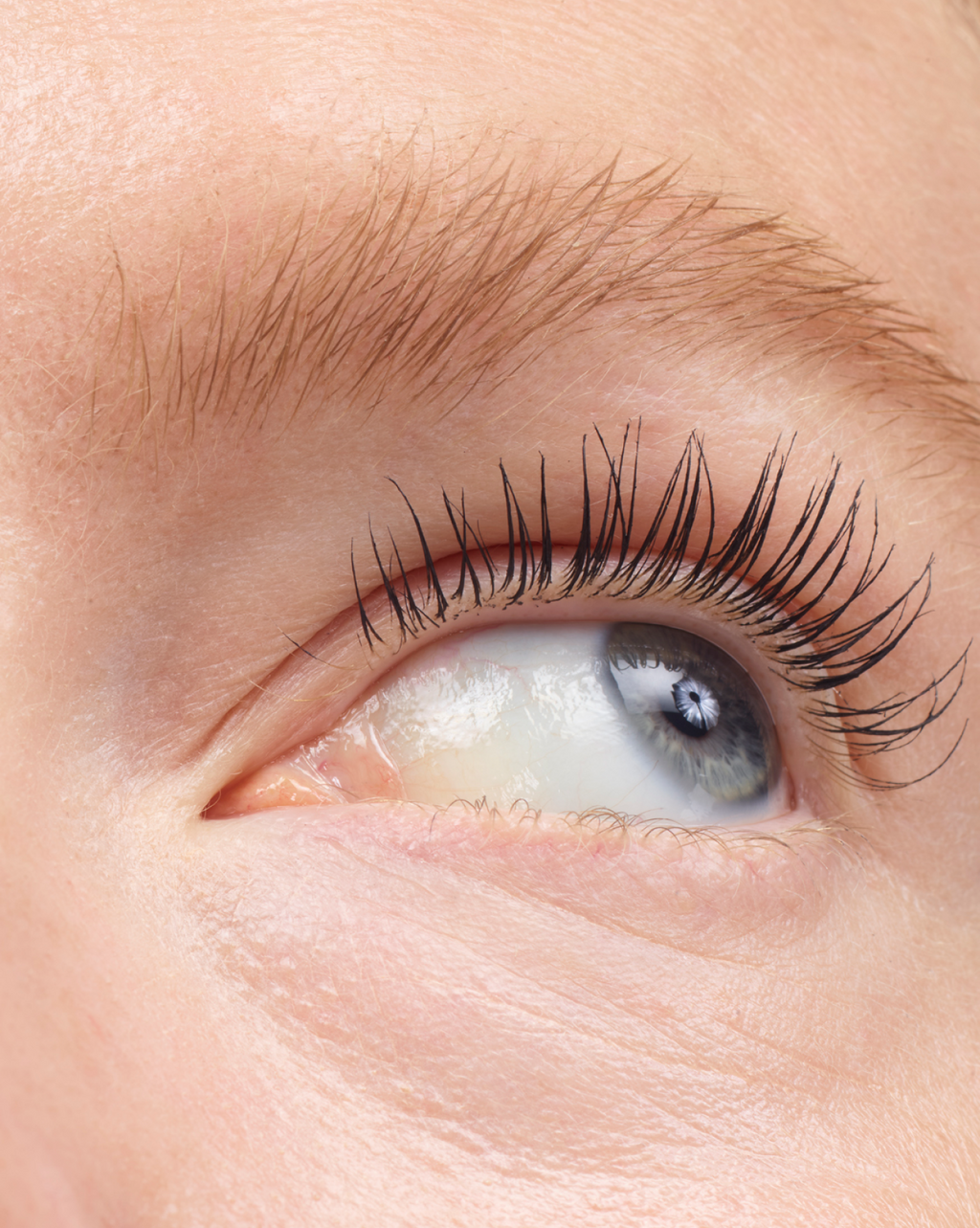 SRC_8CFCFDBA9769918D Boy Brow