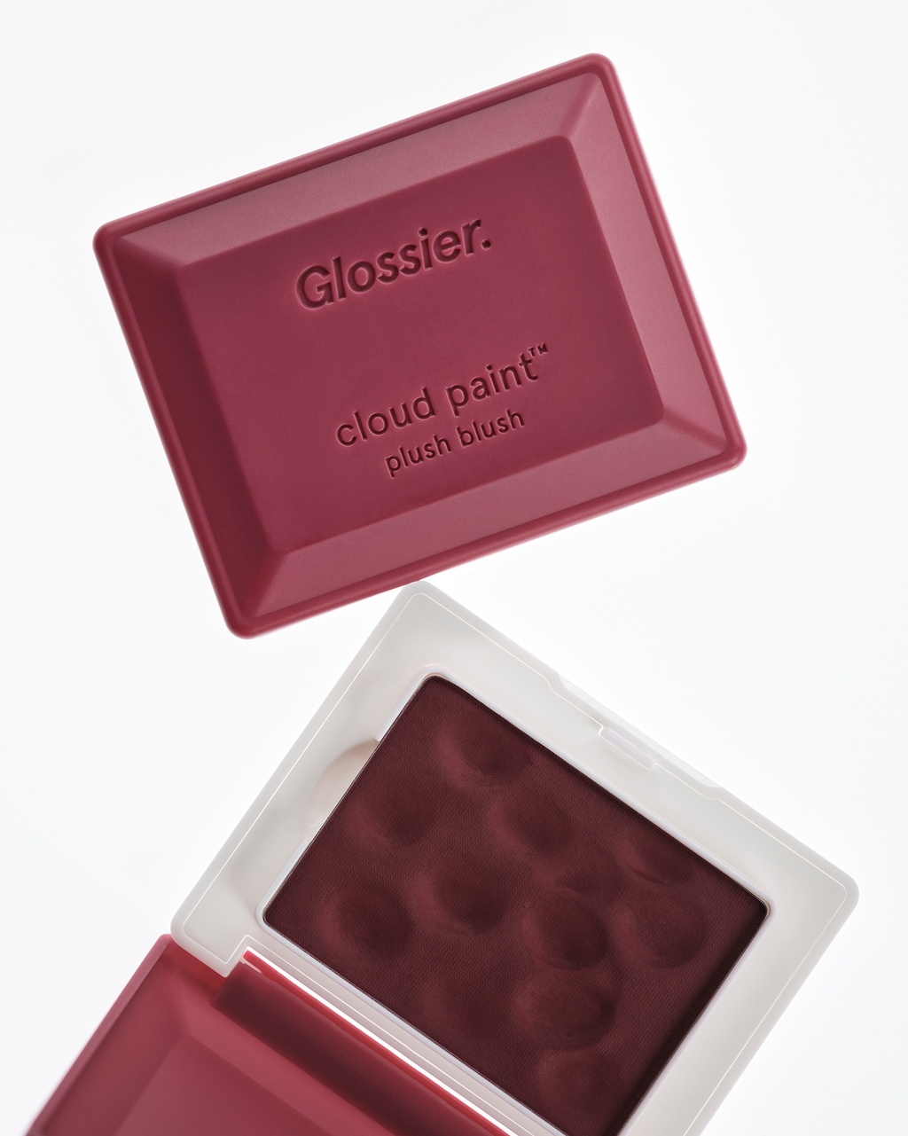 SRC_283E26BD36D0419E Cloud Paint Plush Blush