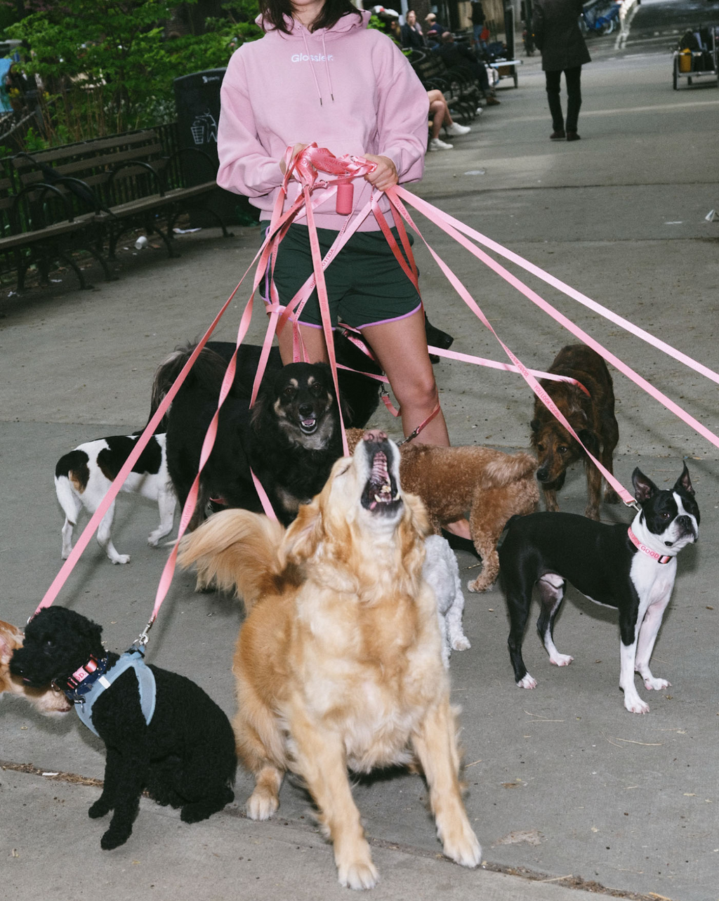 SRC_6601A522212A5A50 You Look Good Pet Set