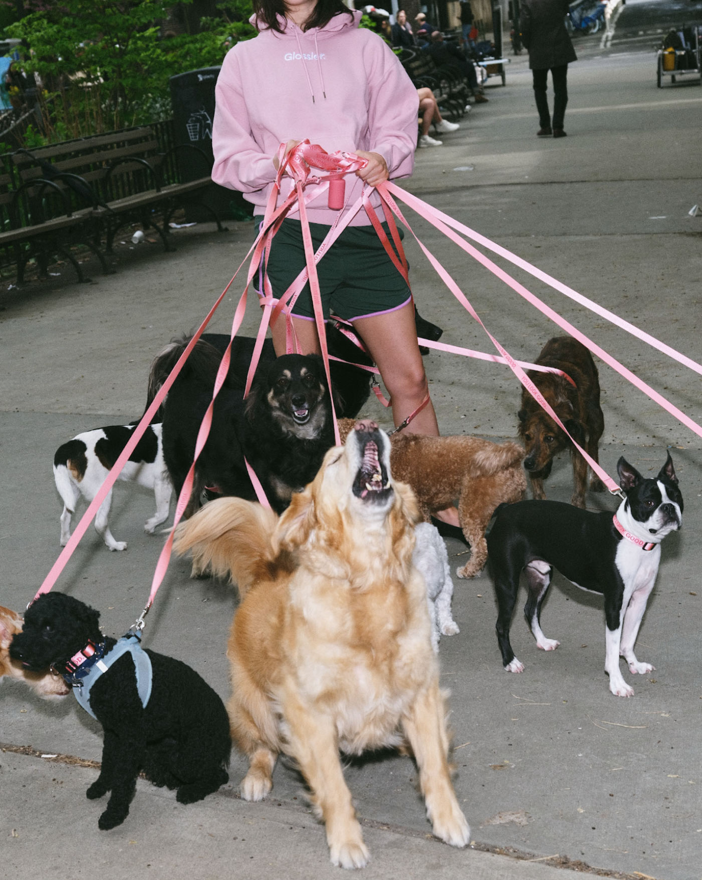 SRC_6601A522212A5A50 You Look Good Pet Set