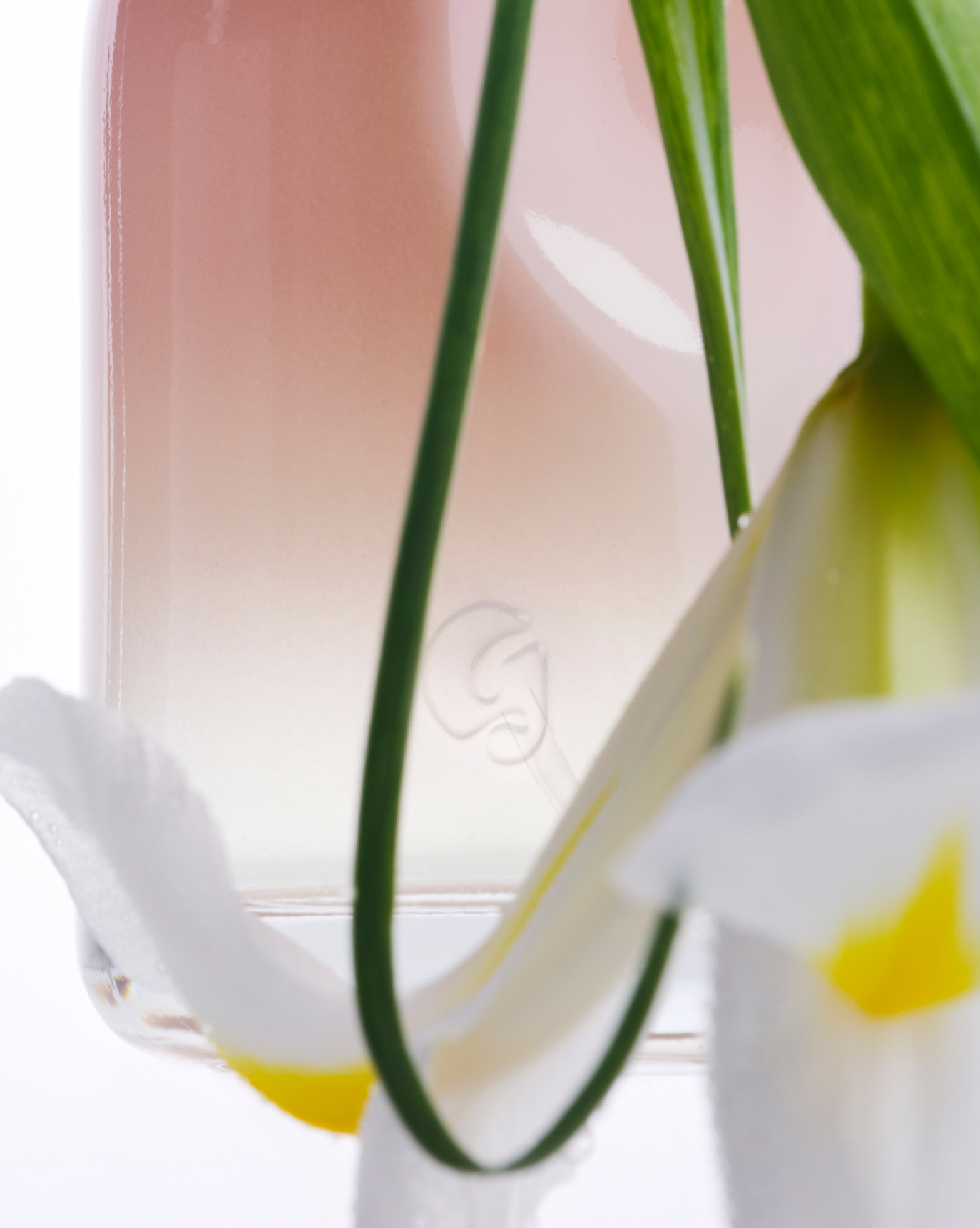 SRC_21011DF1CF13DD98 Glossier You