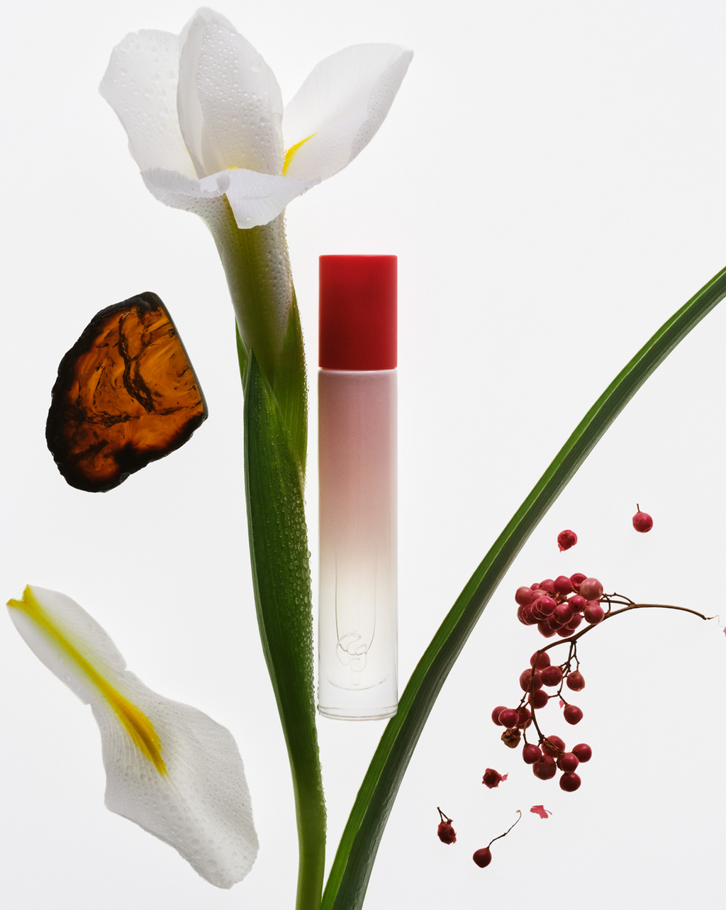 SRC_B7A7153A938C944A The Glossier Icons